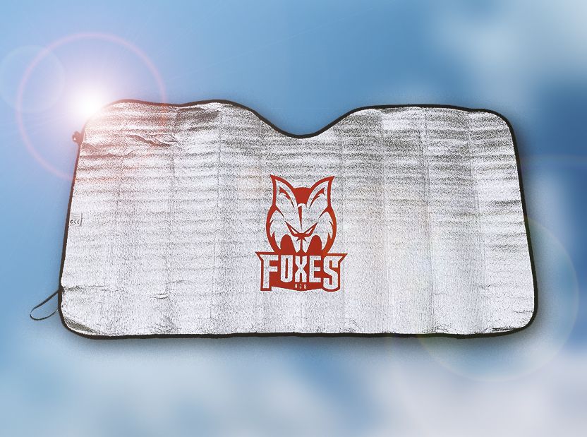 Sonnenblende für Auto