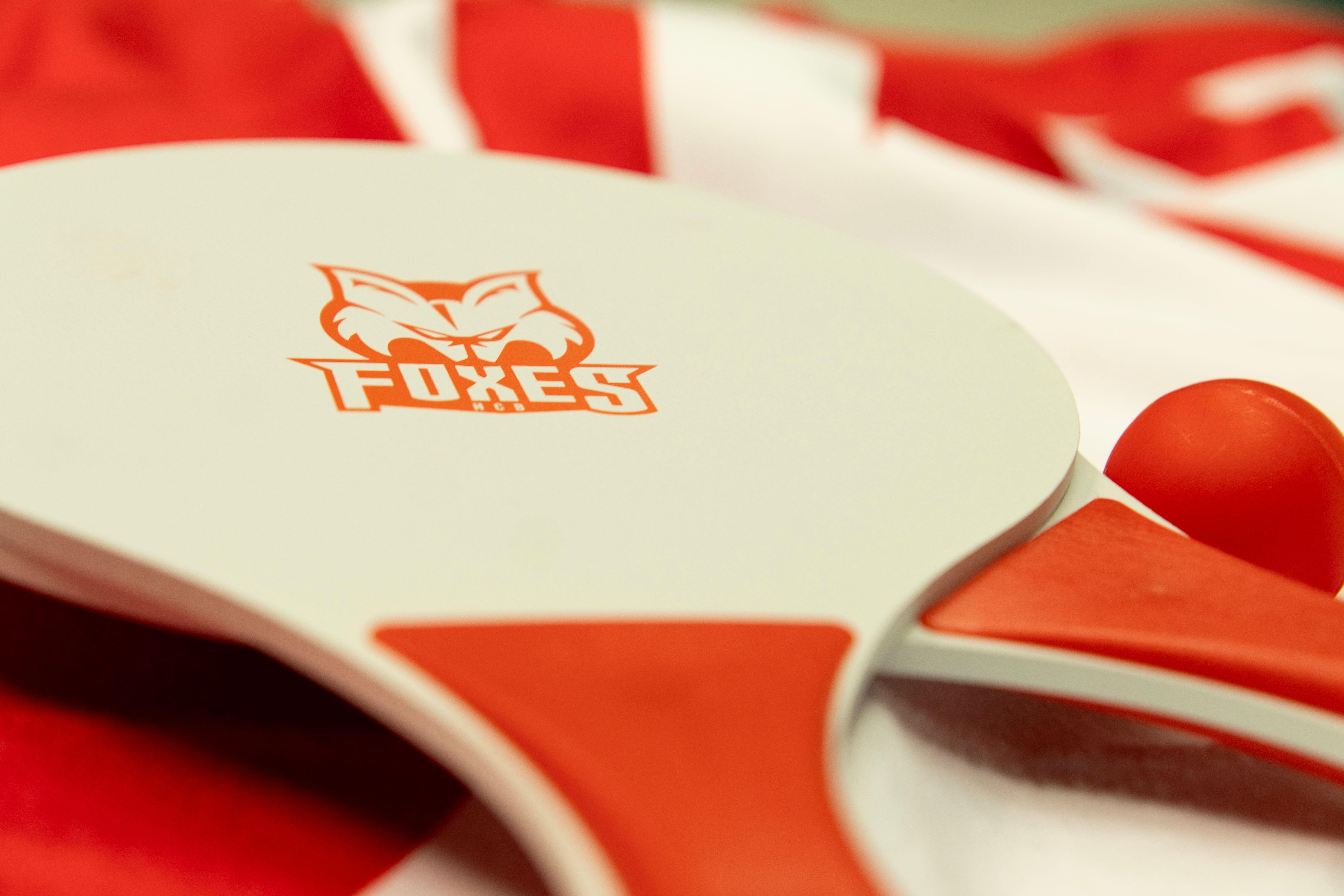 Summer Package - Image 3